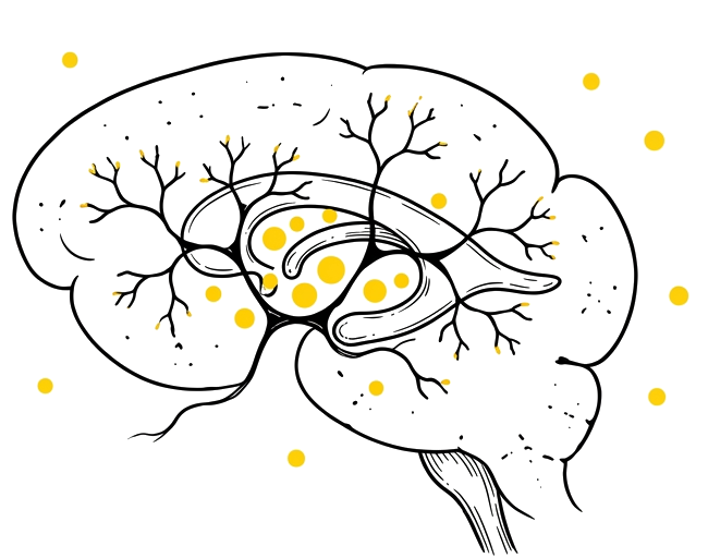 Hand-drawn brain with dendritic branches